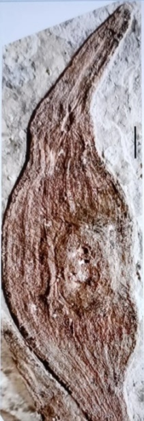 图片2.jpg 图片2.jpg