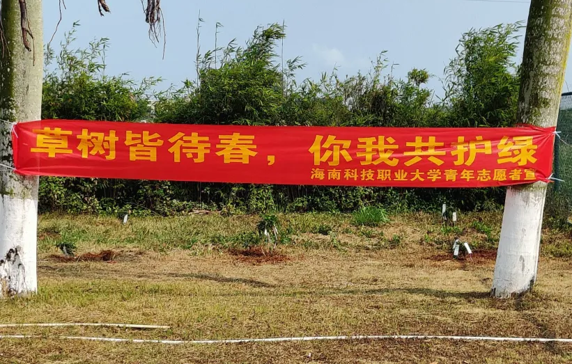 图片23.png
